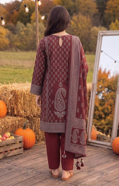 Maroon Geometric Linen 3-Piece Suit